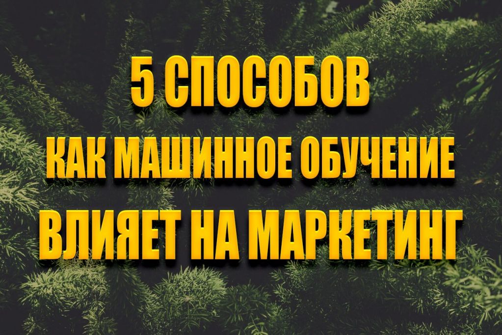 5sp.jpg 5sp.jpg