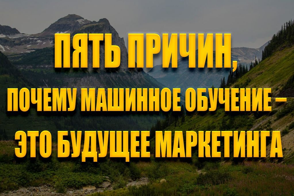 5.jpg 5.jpg