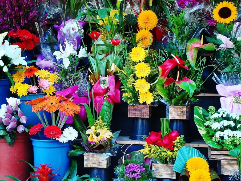 flowers-1384623_1280.jpg flowers-1384623_1280.jpg