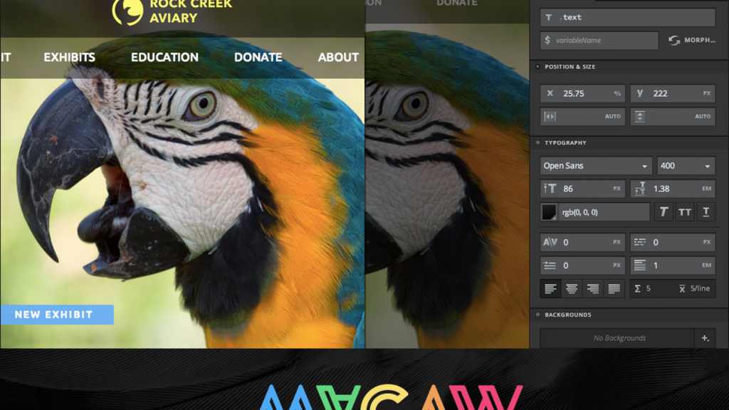 Macaw