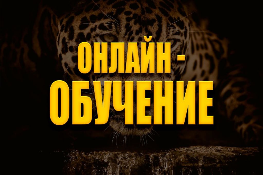 online-obuchenie.jpg online-obuchenie.jpg