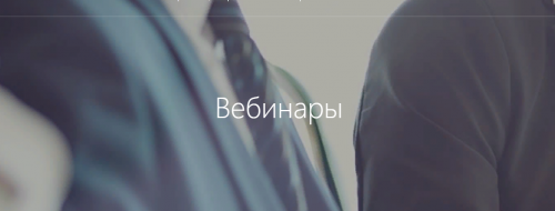 447.png 447.png